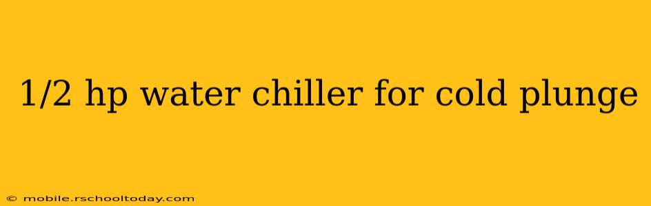 1/2 hp water chiller for cold plunge