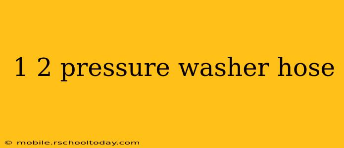 1 2 pressure washer hose