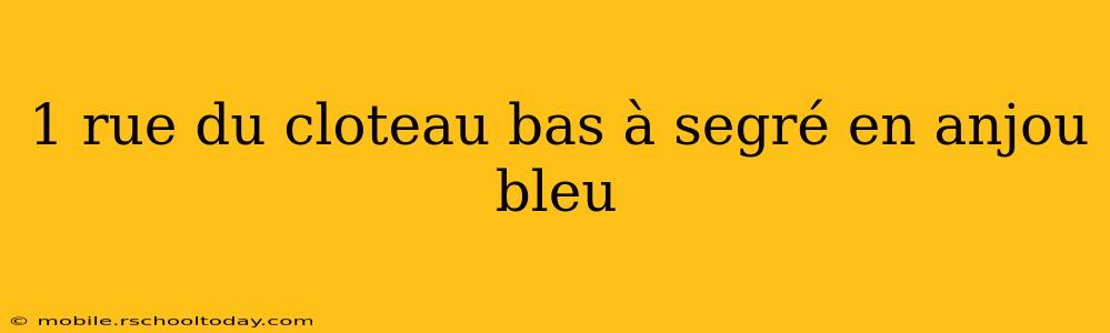 1 rue du cloteau bas à segré en anjou bleu