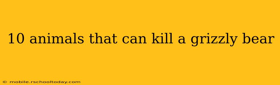 10 animals that can kill a grizzly bear