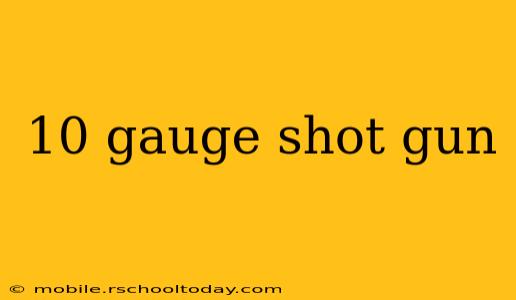 10 gauge shot gun