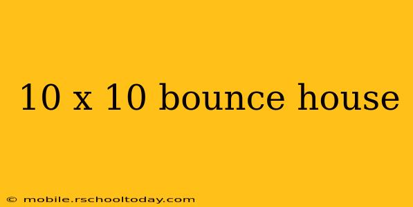 10 x 10 bounce house