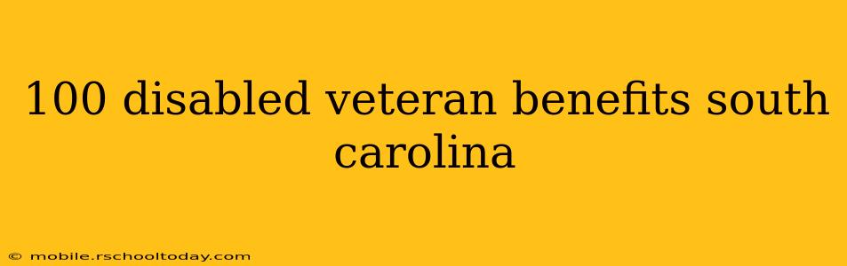 100 disabled veteran benefits south carolina