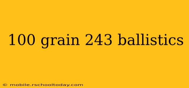 100 grain 243 ballistics