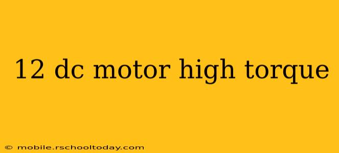 12 dc motor high torque