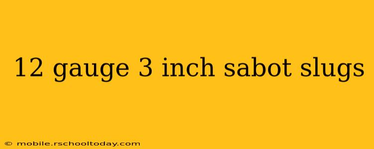 12 gauge 3 inch sabot slugs
