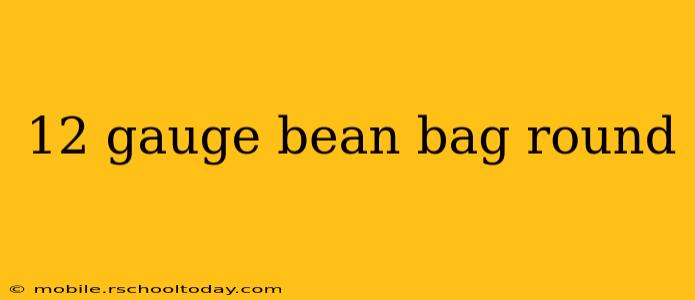 12 gauge bean bag round