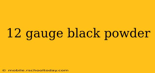 12 gauge black powder