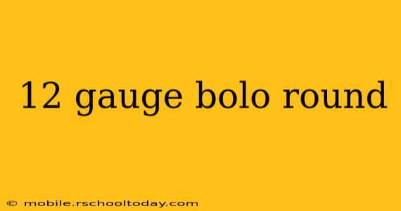 12 gauge bolo round