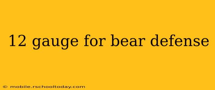 12 gauge for bear defense