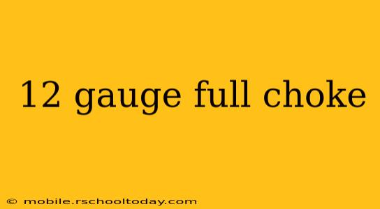12 gauge full choke