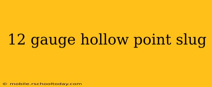 12 gauge hollow point slug