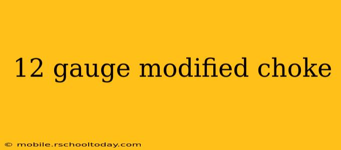 12 gauge modified choke