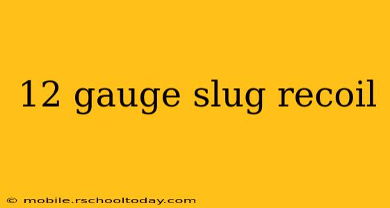 12 gauge slug recoil