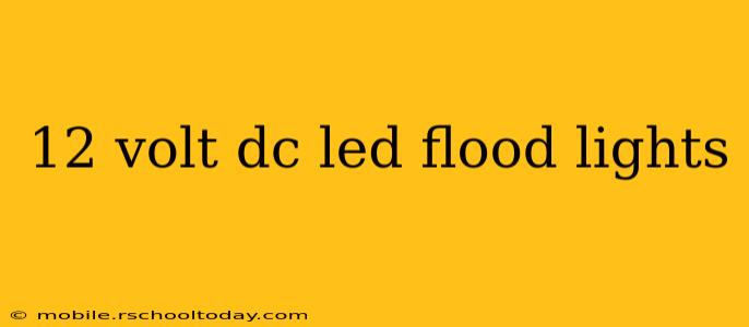12 volt dc led flood lights