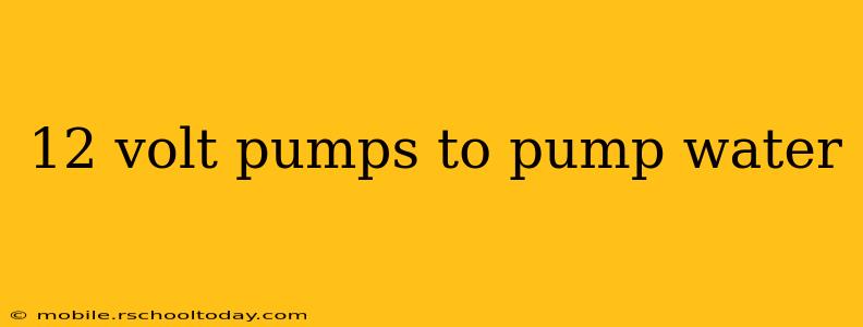 12 volt pumps to pump water