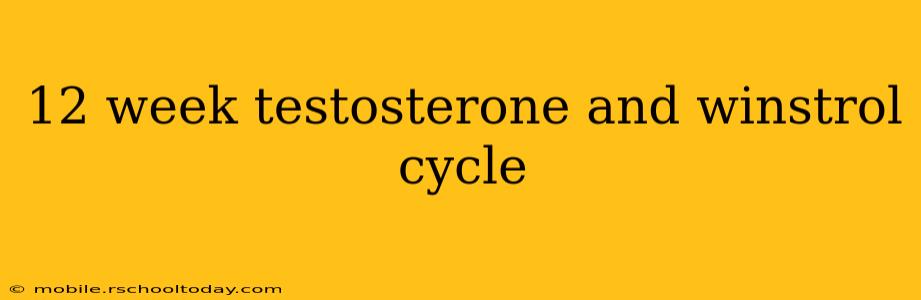 12 week testosterone and winstrol cycle