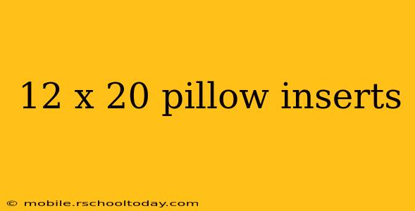 12 x 20 pillow inserts