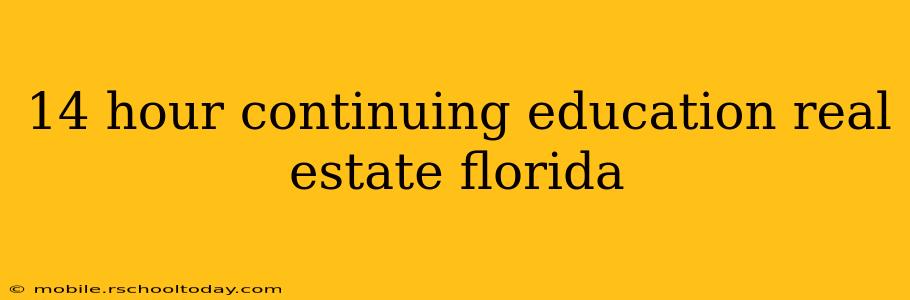 14 hour continuing education real estate florida