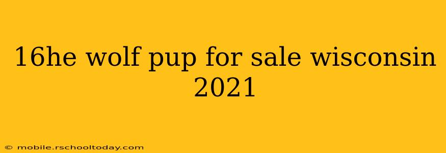 16he wolf pup for sale wisconsin 2021