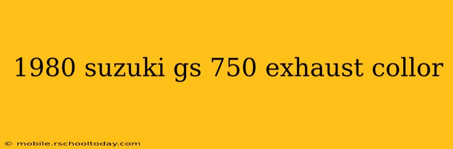 1980 suzuki gs 750 exhaust collor