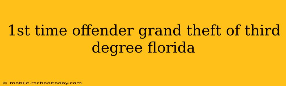 1st time offender grand theft of third degree florida