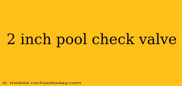 2 inch pool check valve