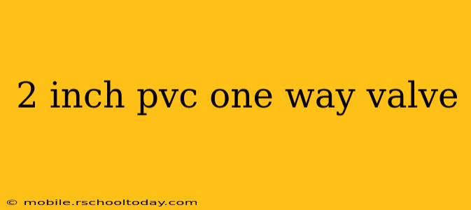 2 inch pvc one way valve