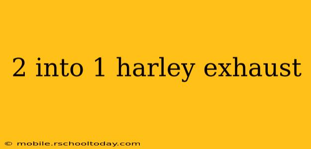 2 into 1 harley exhaust