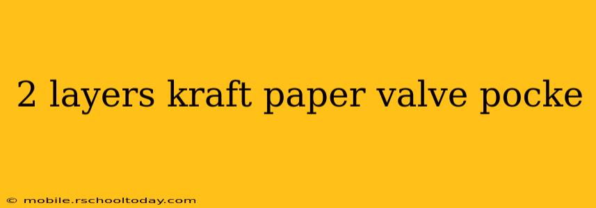 2 layers kraft paper valve pocke