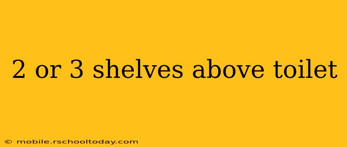 2 or 3 shelves above toilet