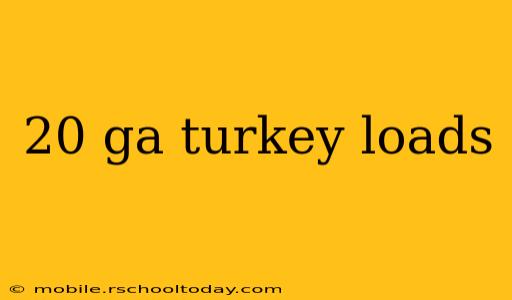 20 ga turkey loads