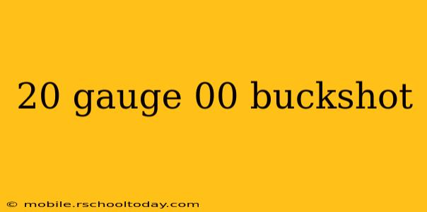 20 gauge 00 buckshot