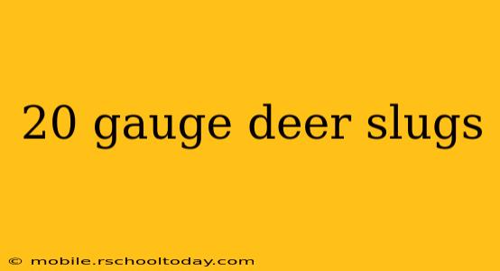 20 gauge deer slugs