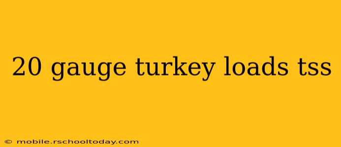 20 gauge turkey loads tss