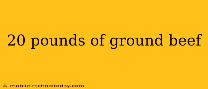 20 pounds of ground beef