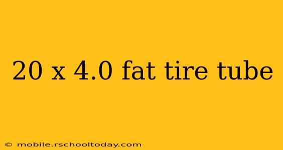 20 x 4.0 fat tire tube