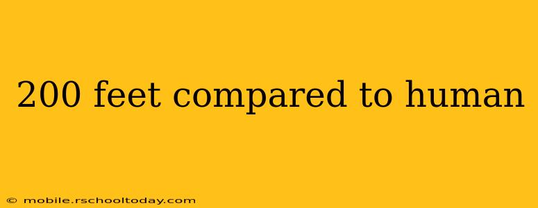 200 feet compared to human