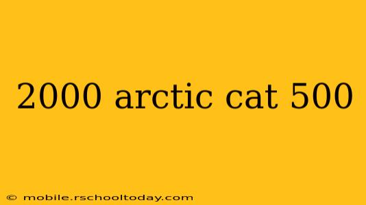 2000 arctic cat 500