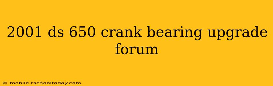 2001 ds 650 crank bearing upgrade forum