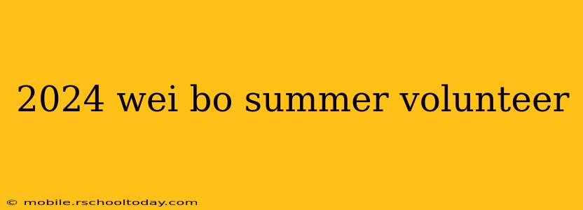 2024 wei bo summer volunteer