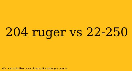 204 ruger vs 22-250