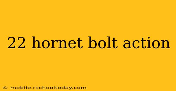 22 hornet bolt action