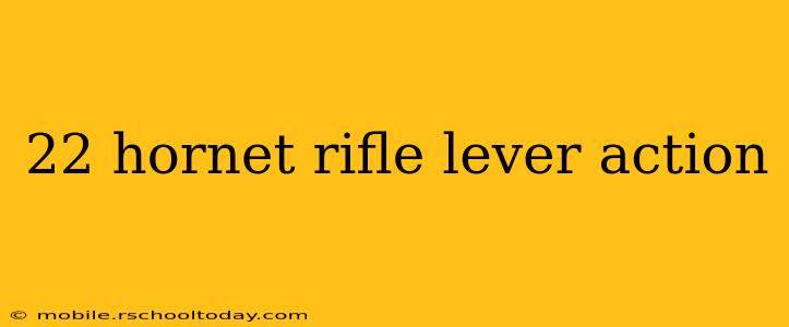22 hornet rifle lever action