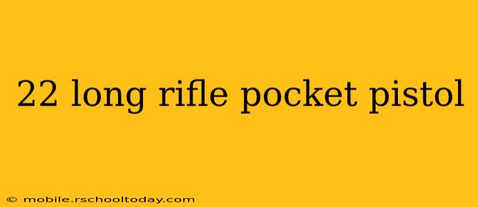 22 long rifle pocket pistol