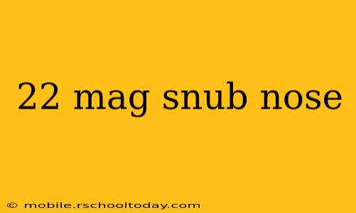 22 mag snub nose