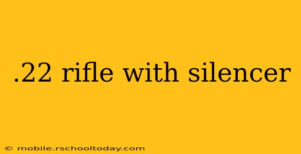 .22 rifle with silencer