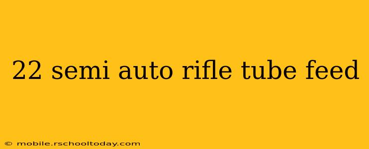 22 semi auto rifle tube feed