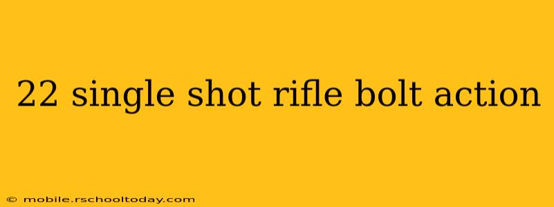 22 single shot rifle bolt action