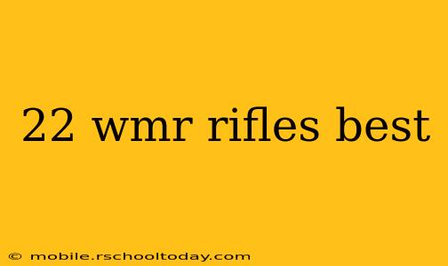 22 wmr rifles best